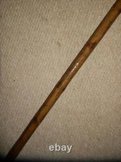 Vintage V Large Hand Carved Snarling Dog H/M Silver Walking Stick Cane. BRIGG