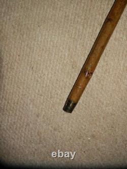 Vintage V Large Hand Carved Snarling Dog H/M Silver Walking Stick Cane. BRIGG