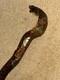 Vintage Walking Stick Cane Hand-Carved Cobra Snake & European Hiking Badges