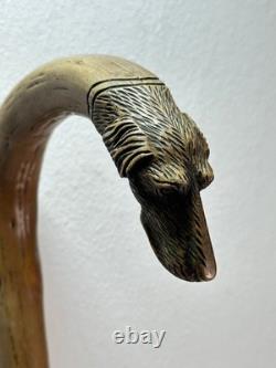 Vintage Walking Stick Dog Head Carved Hunting Dog, German Turnerplakette