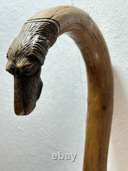 Vintage Walking Stick Dog Head Carved Hunting Dog, German Turnerplakette
