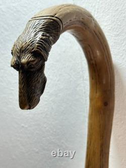 Vintage Walking Stick Dog Head Carved Hunting Dog, German Turnerplakette