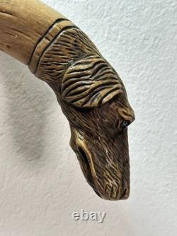 Vintage Walking Stick Dog Head Carved Hunting Dog, German Turnerplakette