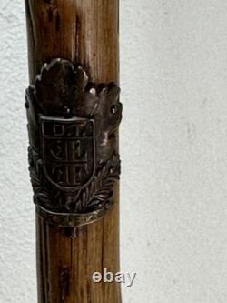 Vintage Walking Stick Dog Head Carved Hunting Dog, German Turnerplakette