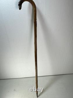 Vintage Walking Stick Dog Head Carved Hunting Dog, German Turnerplakette