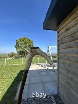 Vintage Walking Stick With Carved Deer Antler Handle & Wooden Pad