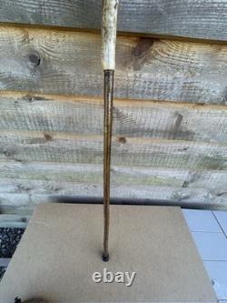 Vintage Walking Stick With Carved Deer Antler Handle & Wooden Pad