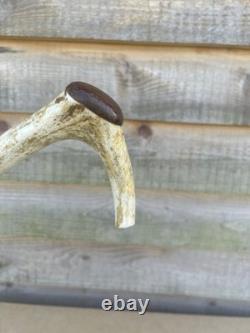 Vintage Walking Stick With Carved Deer Antler Handle & Wooden Pad