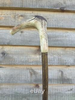 Vintage Walking Stick With Carved Deer Antler Handle & Wooden Pad