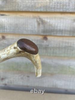 Vintage Walking Stick With Carved Deer Antler Handle & Wooden Pad