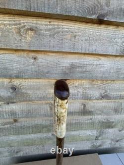 Vintage Walking Stick With Carved Deer Antler Handle & Wooden Pad