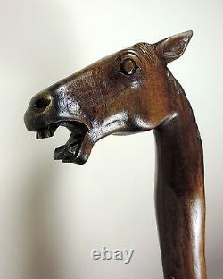 WALKING STICK'Rose Wood Hand Carved' Horses Head