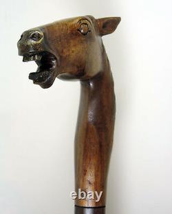 WALKING STICK'Rose Wood Hand Carved' Horses Head