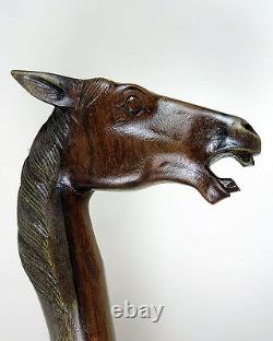 WALKING STICK'Rose Wood Hand Carved' Horses Head