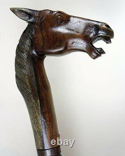 WALKING STICK'Rose Wood Hand Carved' Horses Head