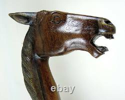 WALKING STICK'Rose Wood Hand Carved' Horses Head