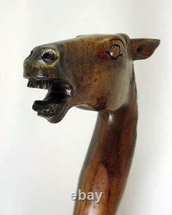 WALKING STICK'Rose Wood Hand Carved' Horses Head