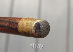 Walking Stick Ben Cox Julius Klinkhardt Carving Antique Cane