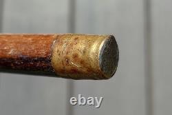 Walking Stick Ben Cox Julius Klinkhardt Carving Antique Cane