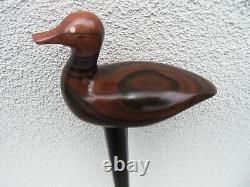 Walking Stick Carved Wood Duck Handle Tungsten Carbide Celtic Collar 35 / 89cm