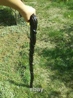 Walking Stick Dragon Wood head handle, hand carved cane for Dragon lovers