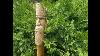 Walking Stick Forest King Carving A Cedar Wood Spirit
