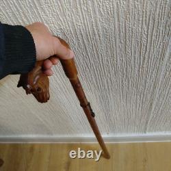 Walking Stick, cane Hand Carved