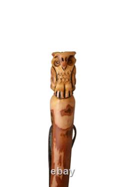 Walking Stick with Owl Carving in Hardwood, Strong Kiln Dried Hiking Staff Canes