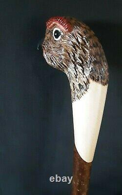 Walking stick / shooting stick / dress stick. Hand carved Grouse