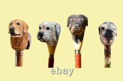 Walking sticks and canes dog portrait custom painting photo Pack Of Four Cane