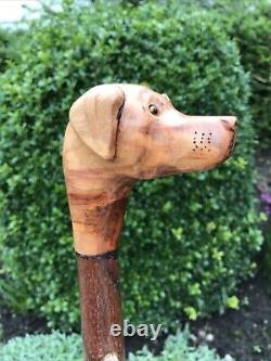 Welsh Handcrafted Carved Fox Red Labrador Head Handle Walking Stick