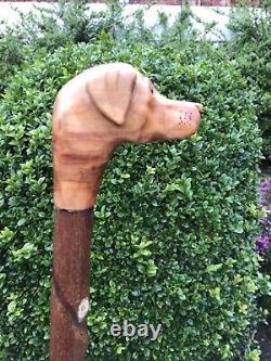 Welsh Handcrafted Carved Fox Red Labrador Head Handle Walking Stick