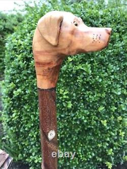 Welsh Handcrafted Carved Fox Red Labrador Head Handle Walking Stick