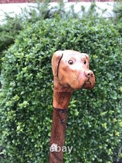 Welsh Handcrafted Carved Fox Red Labrador Head Handle Walking Stick