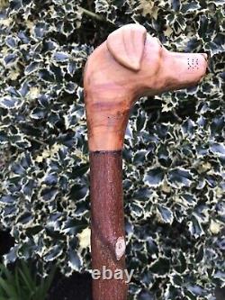 Welsh Handcrafted Carved Fox Red Labrador Head Handle Walking Stick