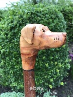 Welsh Handcrafted Carved Fox Red Labrador Head Handle Walking Stick