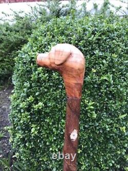 Welsh Handcrafted Carved Fox Red Labrador Head Handle Walking Stick