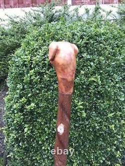 Welsh Handcrafted Carved Fox Red Labrador Head Handle Walking Stick