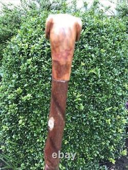 Welsh Handcrafted Carved Fox Red Labrador Head Handle Walking Stick