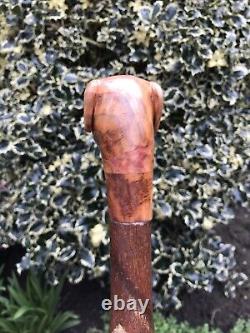 Welsh Handcrafted Carved Fox Red Labrador Head Handle Walking Stick