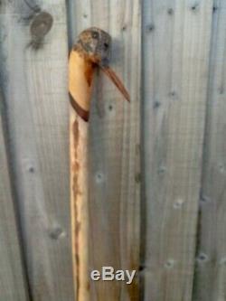 Woodcock carved by hand on a holly shank, walking hunting or hiking stick