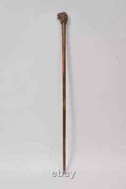Wooden Bird Walking Stick Hand-Carved Walking Cane for Nature Lovers