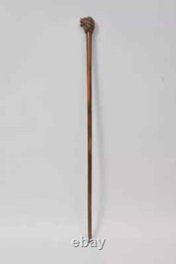 Wooden Walking Stick Cane Lion Head Handle Animal Hand Wood Replica Carved