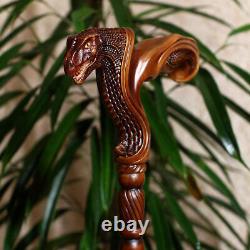 Wooden Walking Stick with T-rex Dinosaur Dragon Head Wood Carved Walking Cane