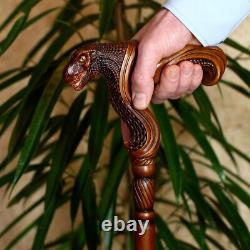 Wooden Walking Stick with T-rex Dinosaur Dragon Head Wood Carved Walking Cane