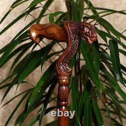 Wooden Walking Stick with T-rex Dinosaur Dragon Head Wood Carved Walking Cane