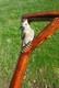 Wooden walking stick hand carved Animal wooden walking cane