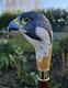Wooden walking stick hand carved Beautiful Bird wooden walking cane