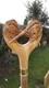 Wooden walking stick hand carved Beautiful Birds wooden walking cane