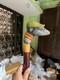Wooden walking stick hand carved Beautiful Dog wooden walking cane